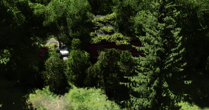 screenshot_2019-05-31_17-59-54.png