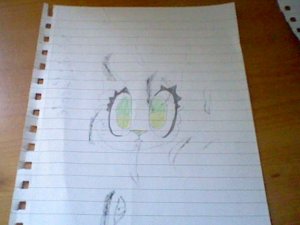 HNI_0050_MPO.jpg