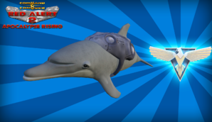 Dolphin1.png