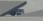 bluebuck.png