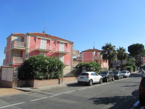 IMG_4439.jpg