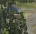 Screenshot208-Copy.png