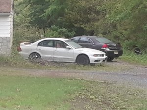 galant.jpg
