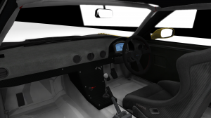 view_race_int.png