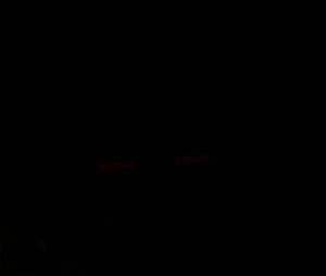 screenshot_2019-07-05_19-18-36.png