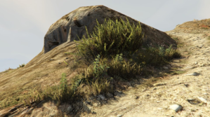 photo27.png