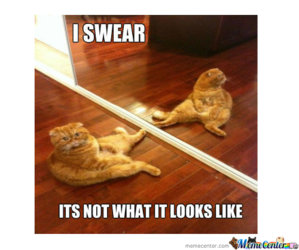 cat-jerking-off_c_196982.jpg