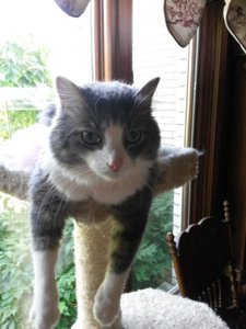 20150710_145955.jpg