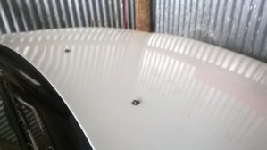 WP_20150906_010.jpg