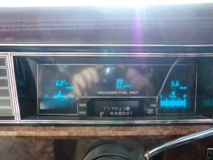 84Eldorado3.jpeg