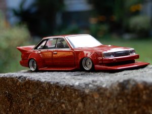 DSCN2548.jpg