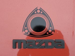 20190810_133425.jpg