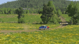 screenshot_rally2.png