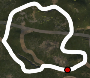 DirtTrackCircuit.png