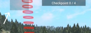 racepos.jpg
