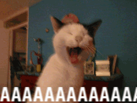 714239.gif