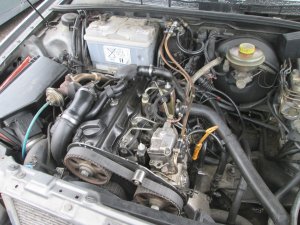 img_2302jpg_diur.jpg