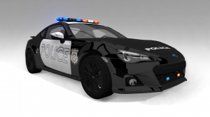police_us.png