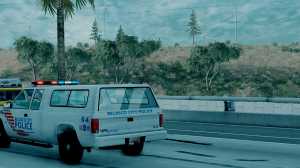 BeamNGdriveScreenshot20191007-16373858.png