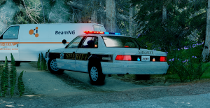 BeamNGdriveScreenshot20191004-18462990.png
