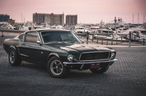 DSC_4297.jpg