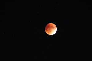 IMG_4900.JPG