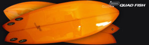 header_quadfish.jpg