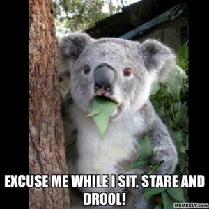 koala-drool.jpg