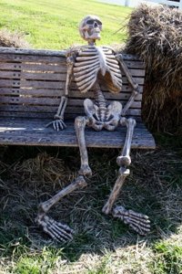 51ccdfffe4b011c79f635716-semperfiguy-1372384955248-skeletononbench250.jpg