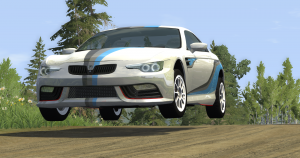 Rally.png
