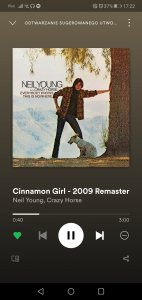 Screenshot_20191026_172245_comspotifymusic.jpg