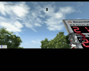 pigeonrain.gif