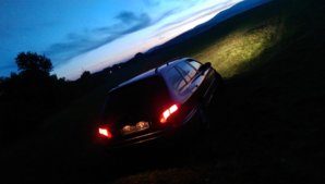 IMAG0979.jpg