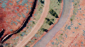 BeamNGdriveScreenshot20191212-21120057.png