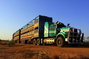 WHITERoadBossRoadtrain3.jpg
