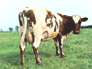 AtomHeartMother.jpg