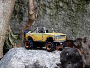 DSCN5370.jpg