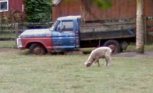 RustyFord.png