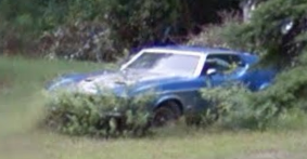 AbandonedMustang.png