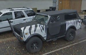 ZebraScout.png