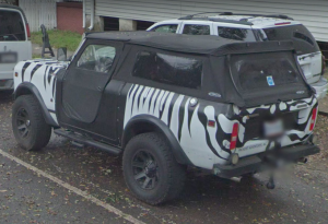 ZebraScout2.png