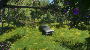 chv.png