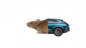 automice.png