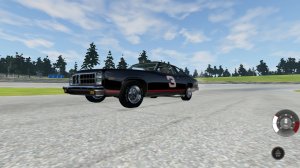 Dale1.jpg