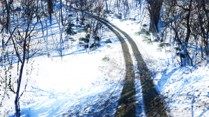 BeamNGdrivex642020-02-1701-59-42.png
