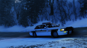 BeamNGdriveScreenshot20200215-02155435.png