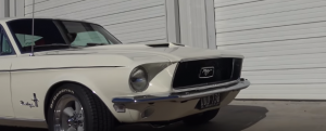 MustangFront.png