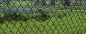 screenshot_2020-03-07_13-41-44.png
