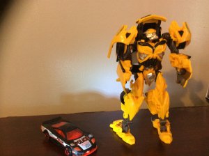 IMG_4365.jpg