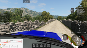 Rally.png